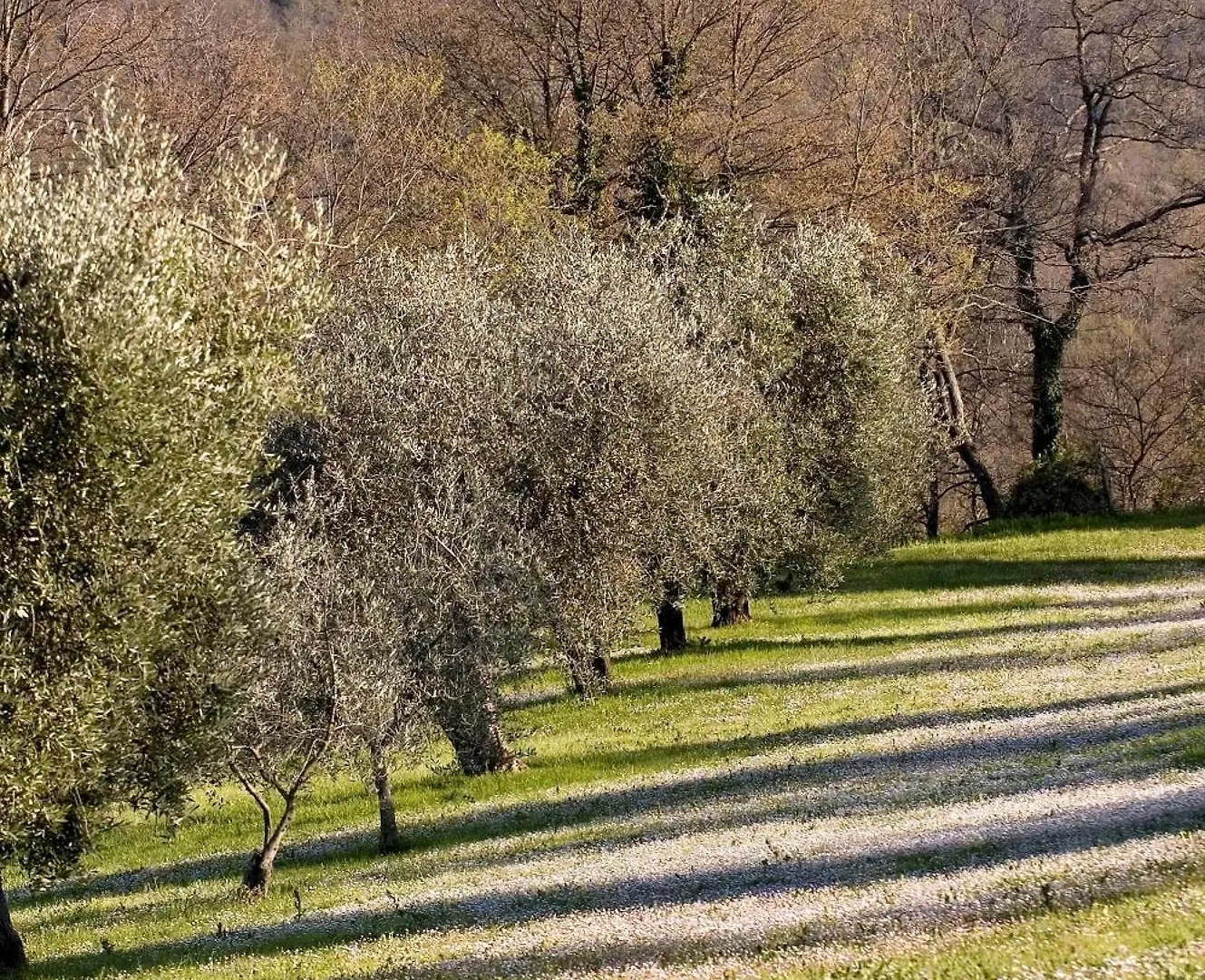 **  La Saracina Hotel Pienza Italy